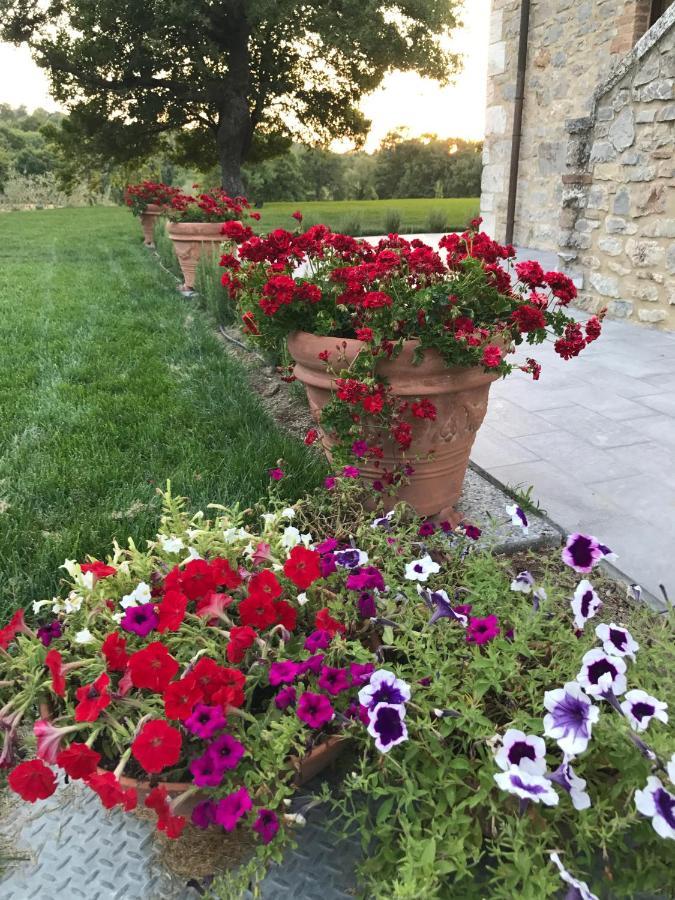 Bed and Breakfast BelSentiero Campiglia dʼOrcia Exterior foto